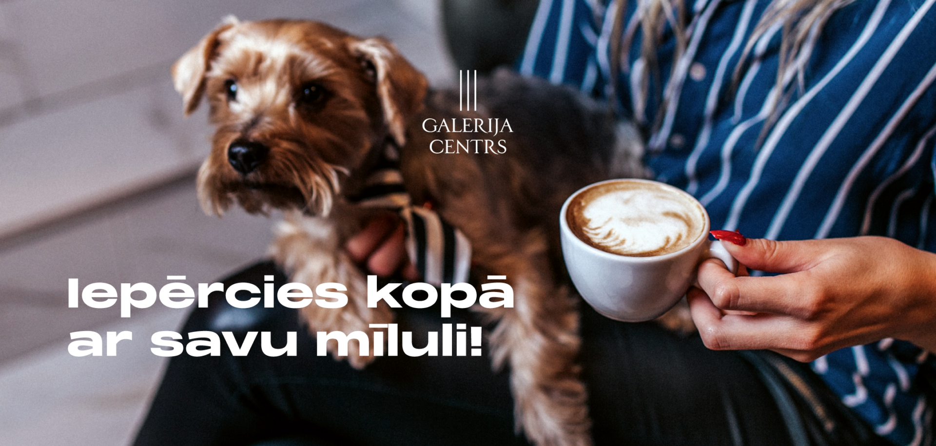 Galerija Centrs – mājdzīvniekiem draudzīga vieta
